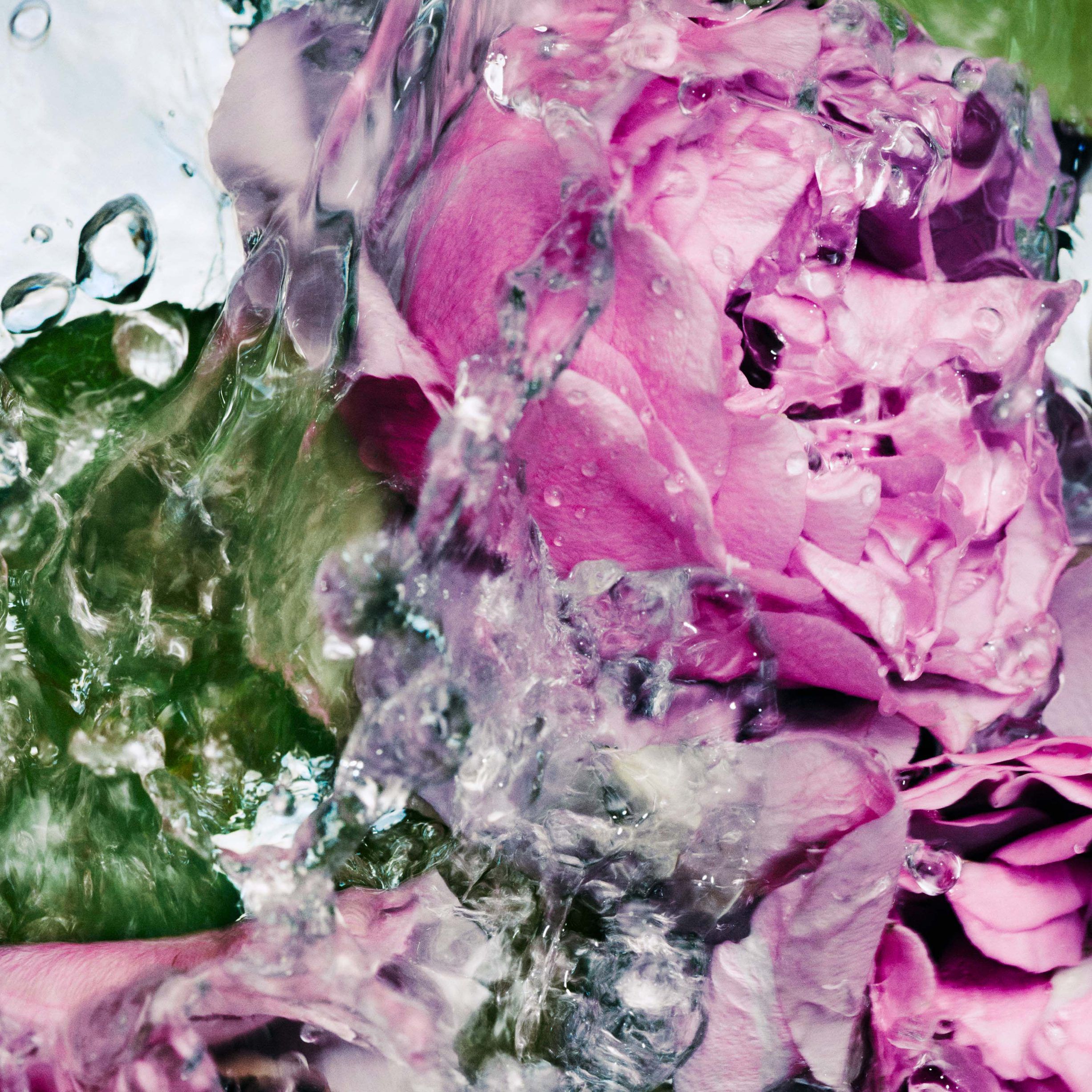 Hand Wash Rose
