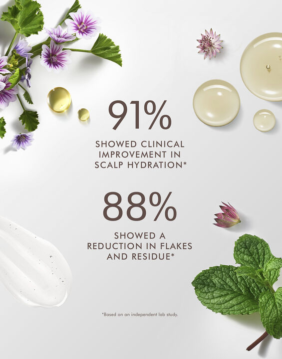 Moroccanoil Scalp Shampoo 250 ml.