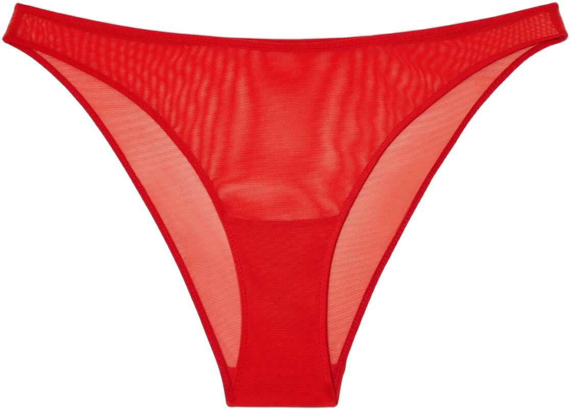 Mesh Bikini Briefs
