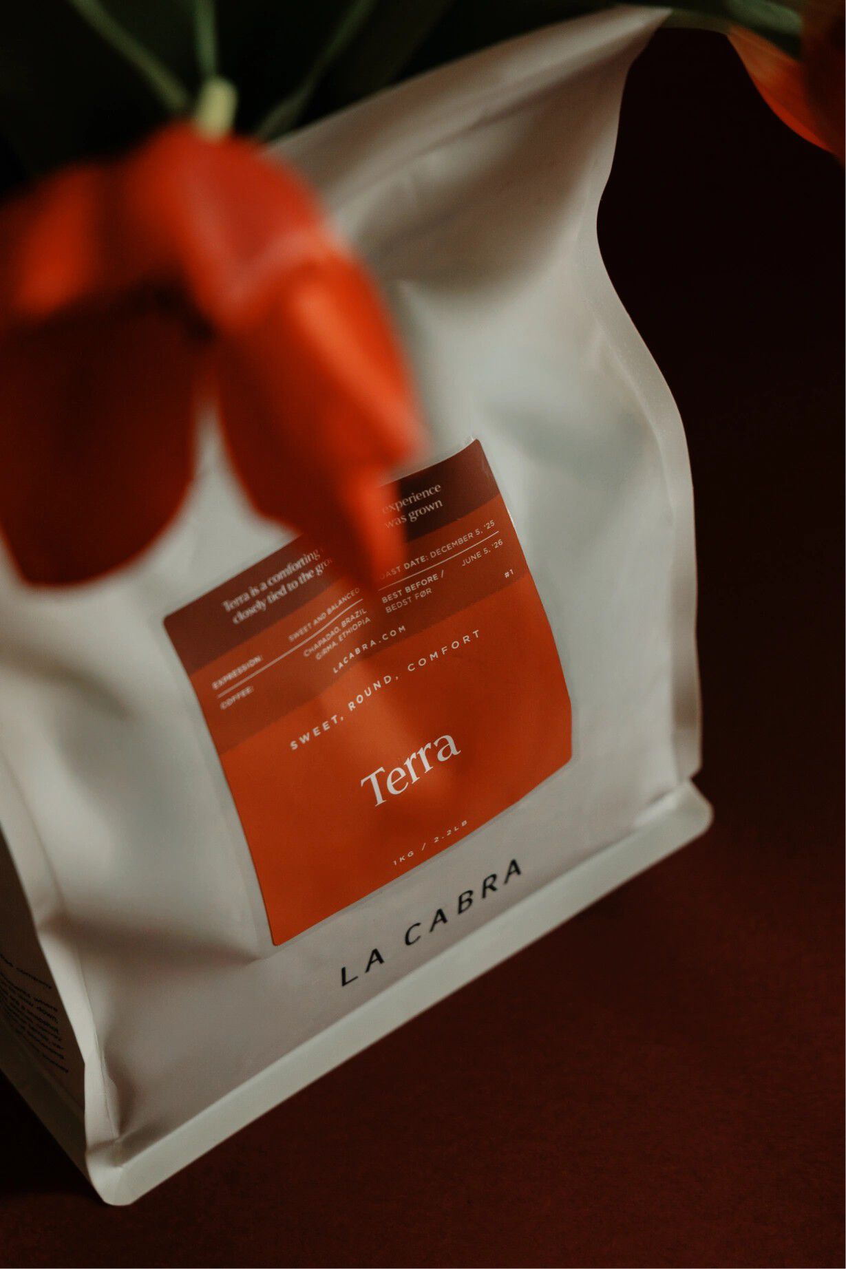 Terra