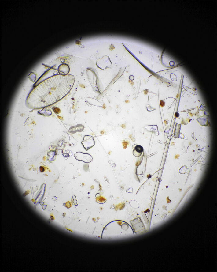 281 Protective Fluid CosN