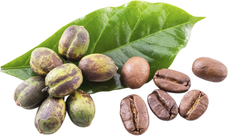 Organic Phytonutrient Caffeine Infusion 100 ml.