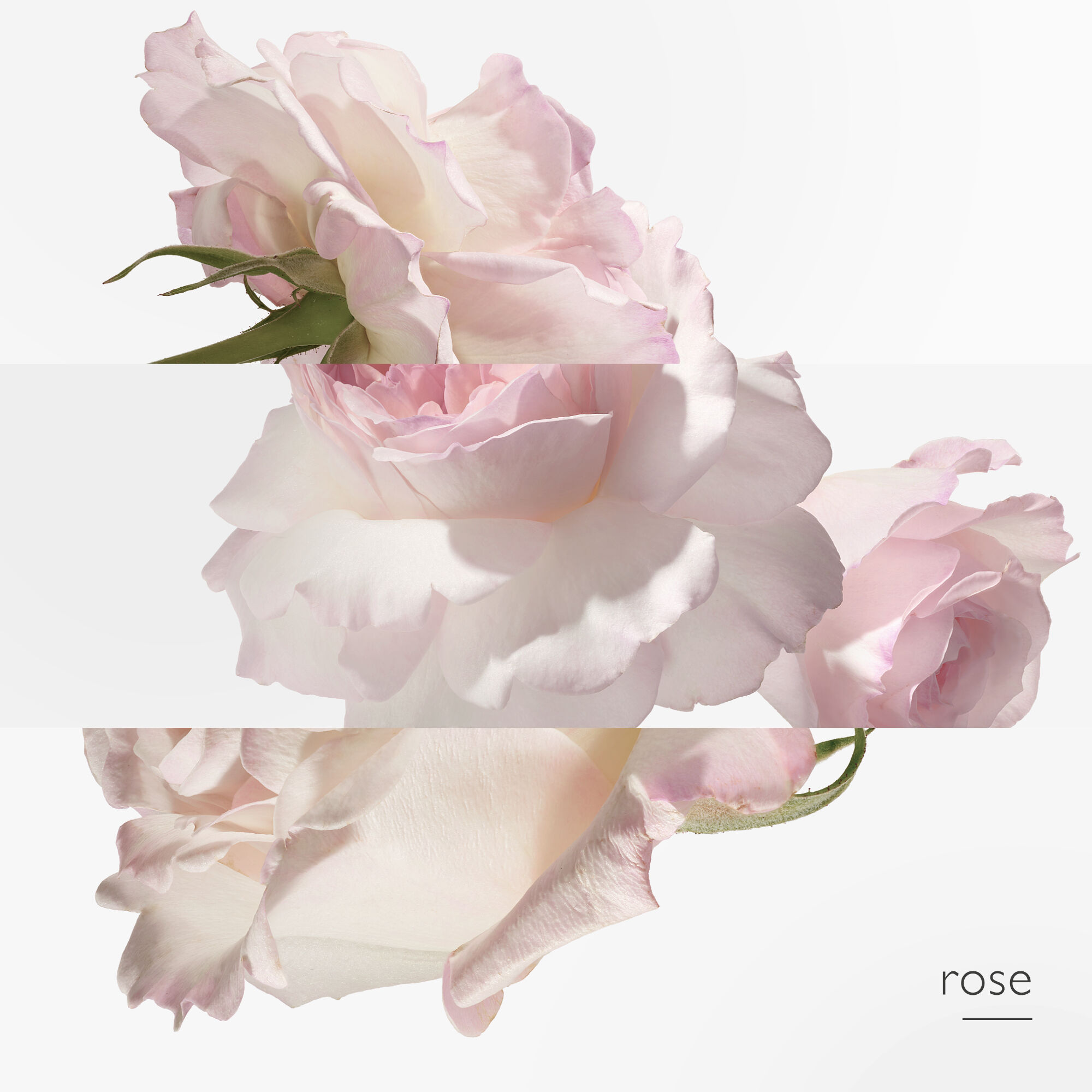 TWILLY D'HERM&Egrave;S EAU POIVR&Eacute;E EAU DE PARFUM