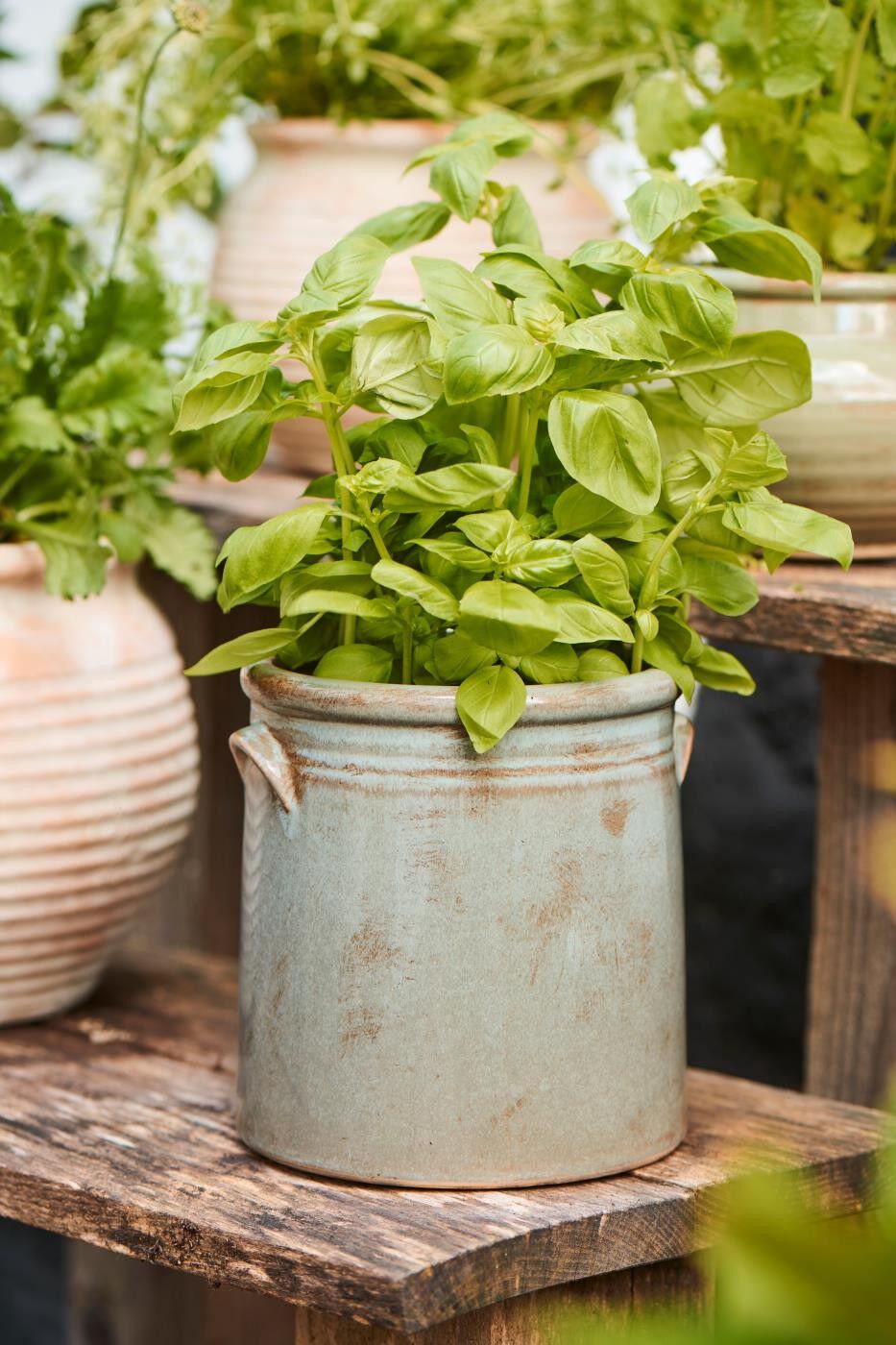 Skjuler m/&oslash;rer gr&aring; distressed