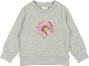 ppDov Sweat shirt