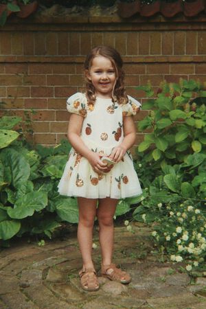 HEARTLILY DRESS