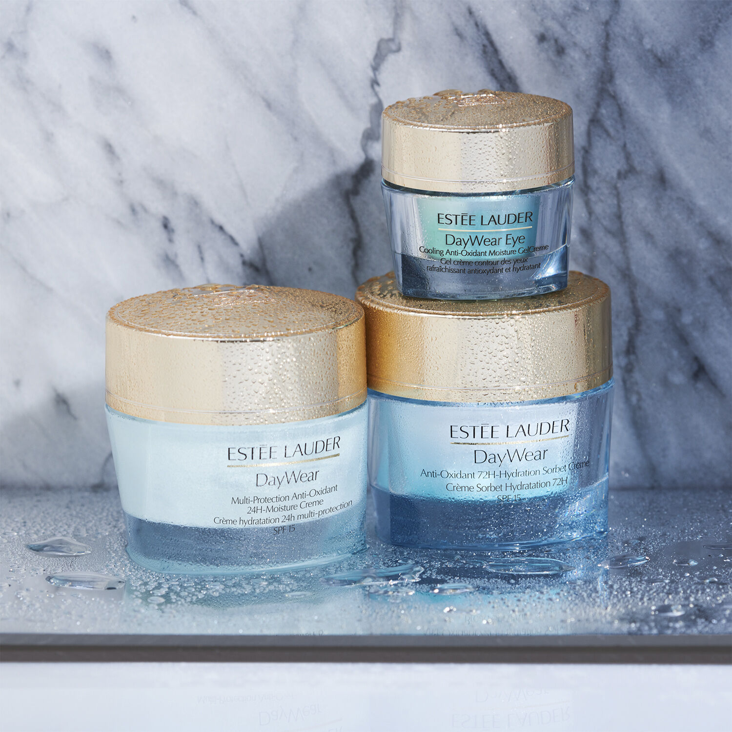 DayWear Anti-Oxidant Cream SPF 15 Dry