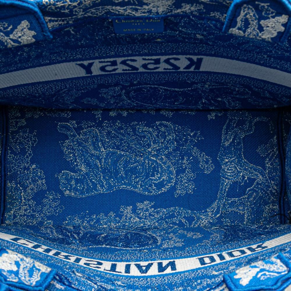 Dior Book Tote