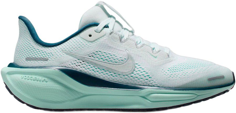 Pegasus 41 L&oslash;besko