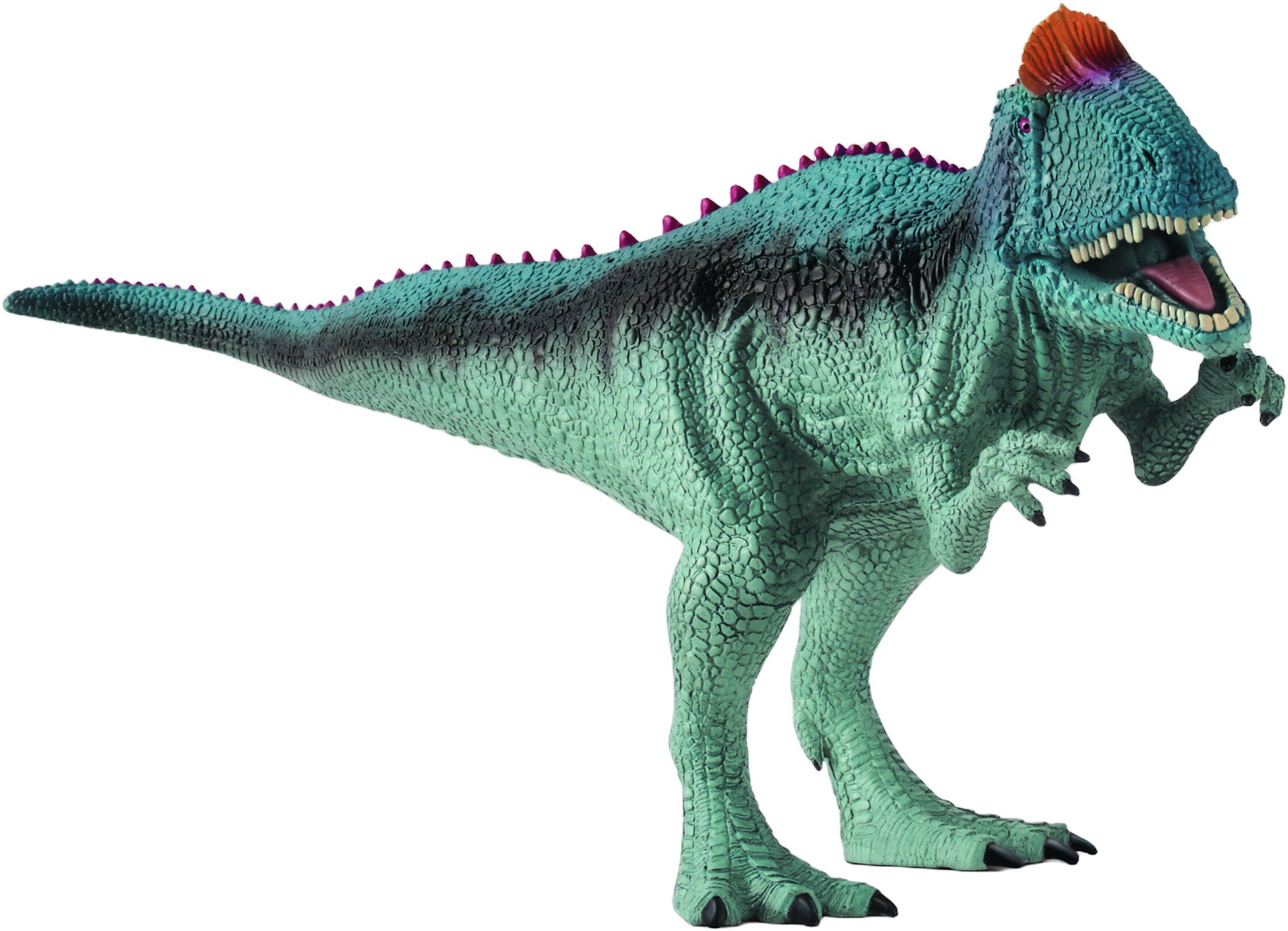 SCH Cryolophosaurus