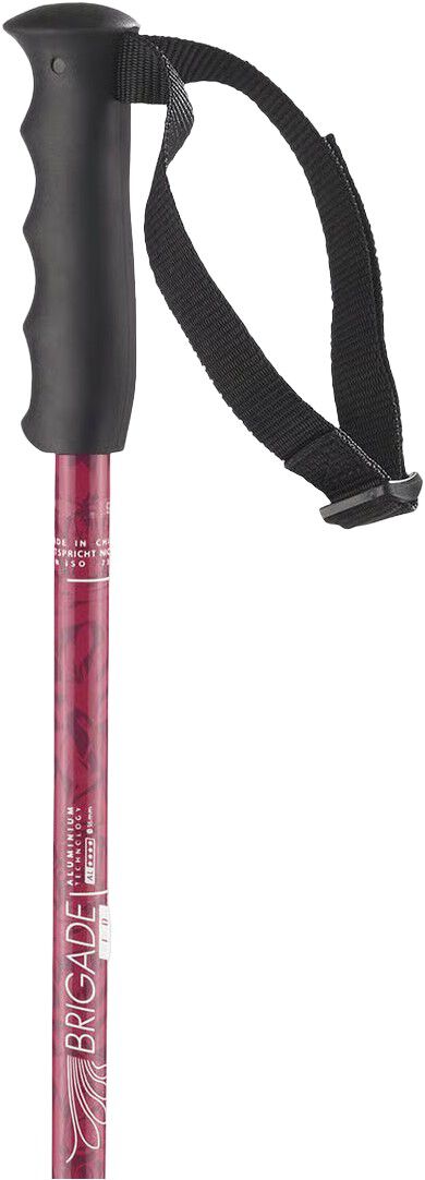 Poles Brigade Skistave