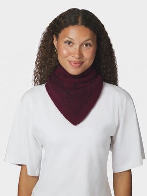 Adelina Paisley Knit Scarf