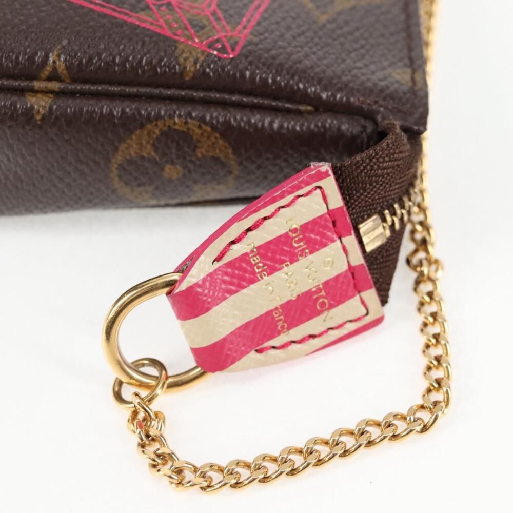 Louis Vuitton Pochette Accessoires