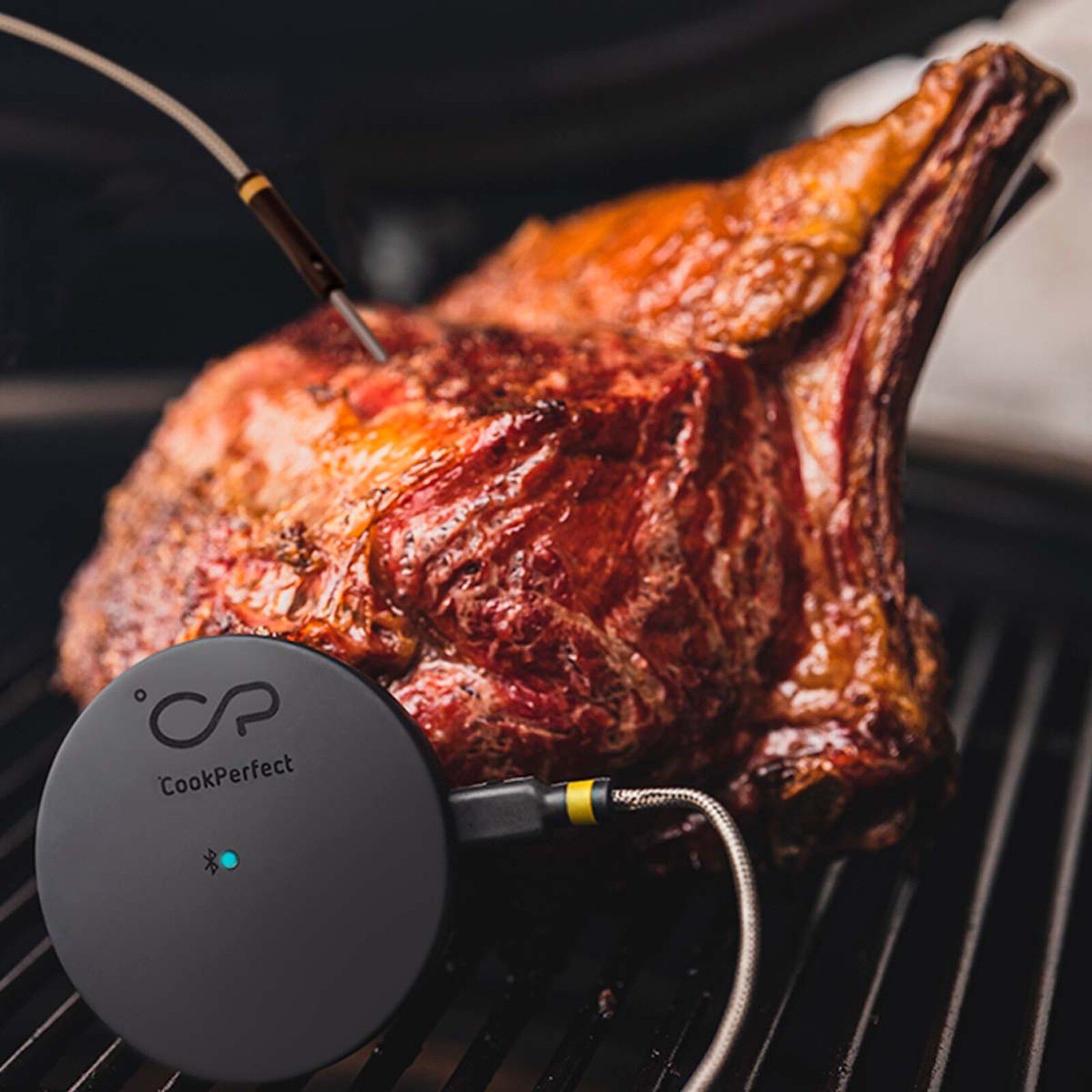 Witt CookPerfect Comfort Single Frying thermometer Black