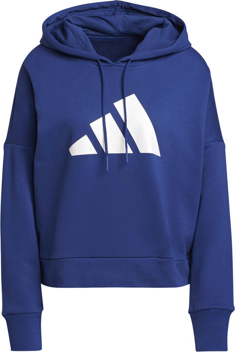 Sportswear Future Icons hættetrøje