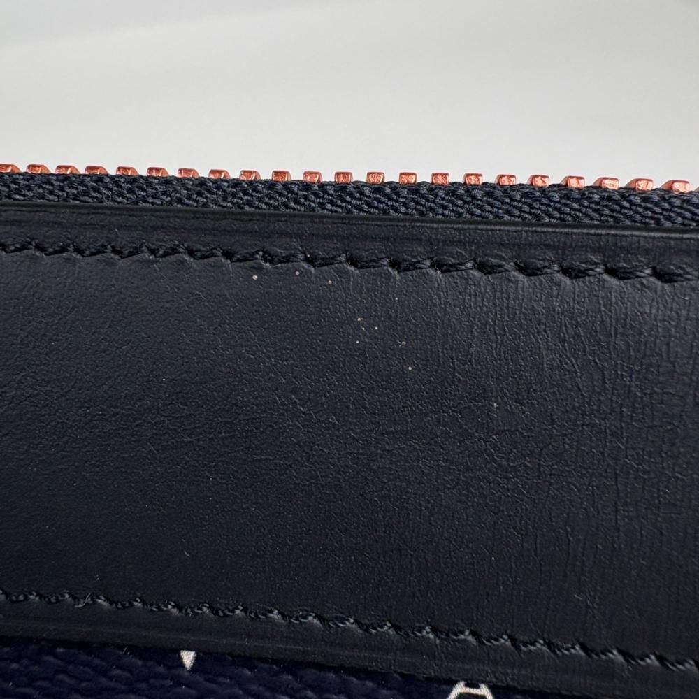 Louis Vuitton Pochette Apollo