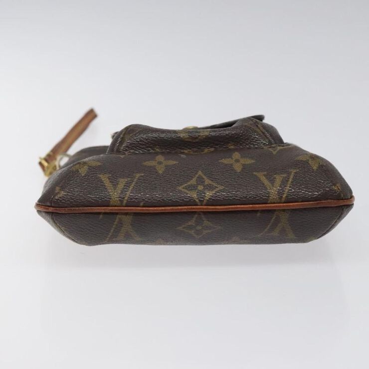Louis Vuitton Pouch