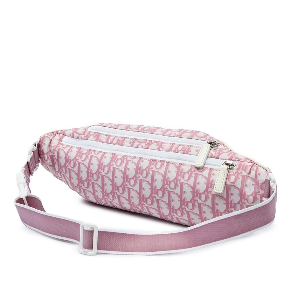 Dior Belt Bag