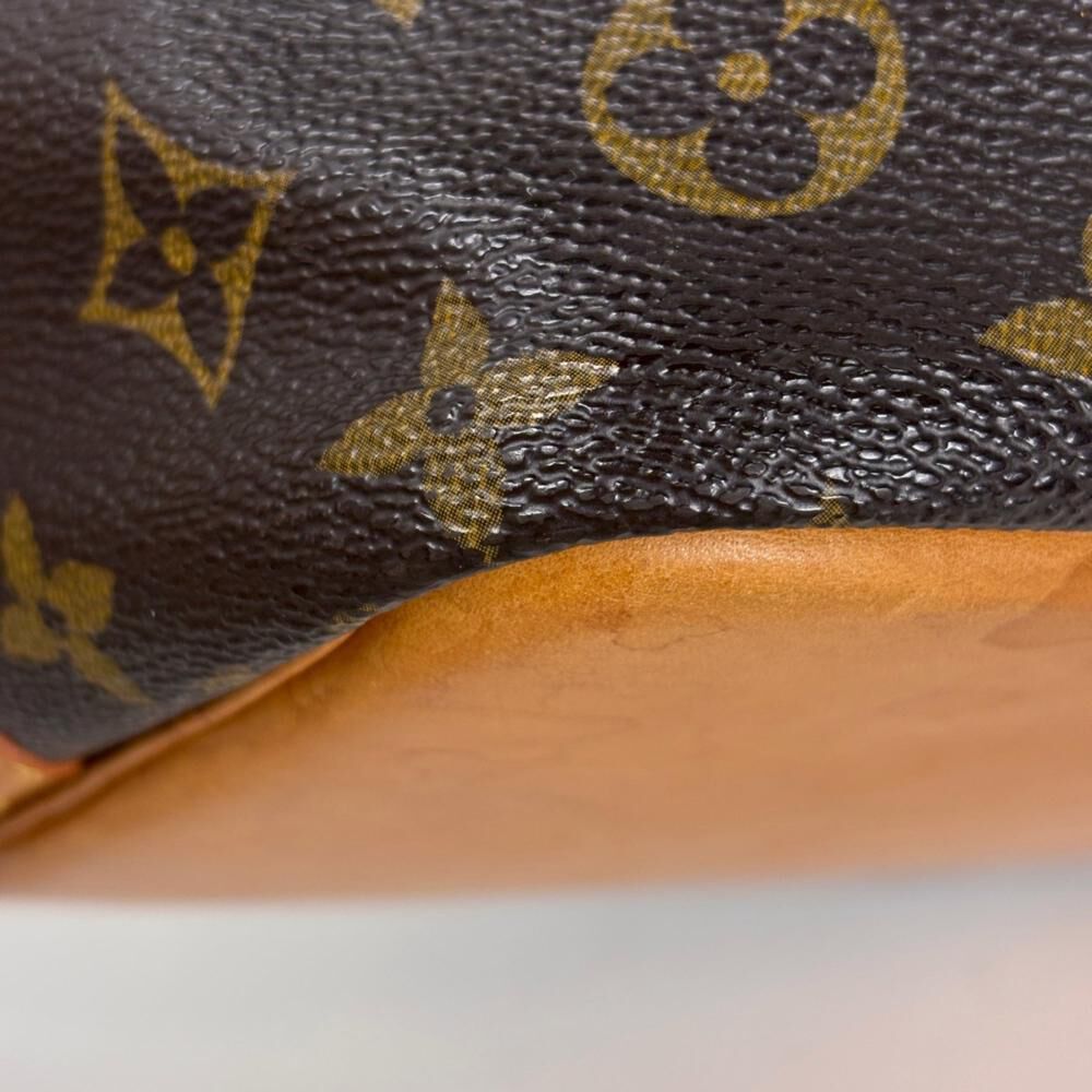 Louis Vuitton Petit Noe
