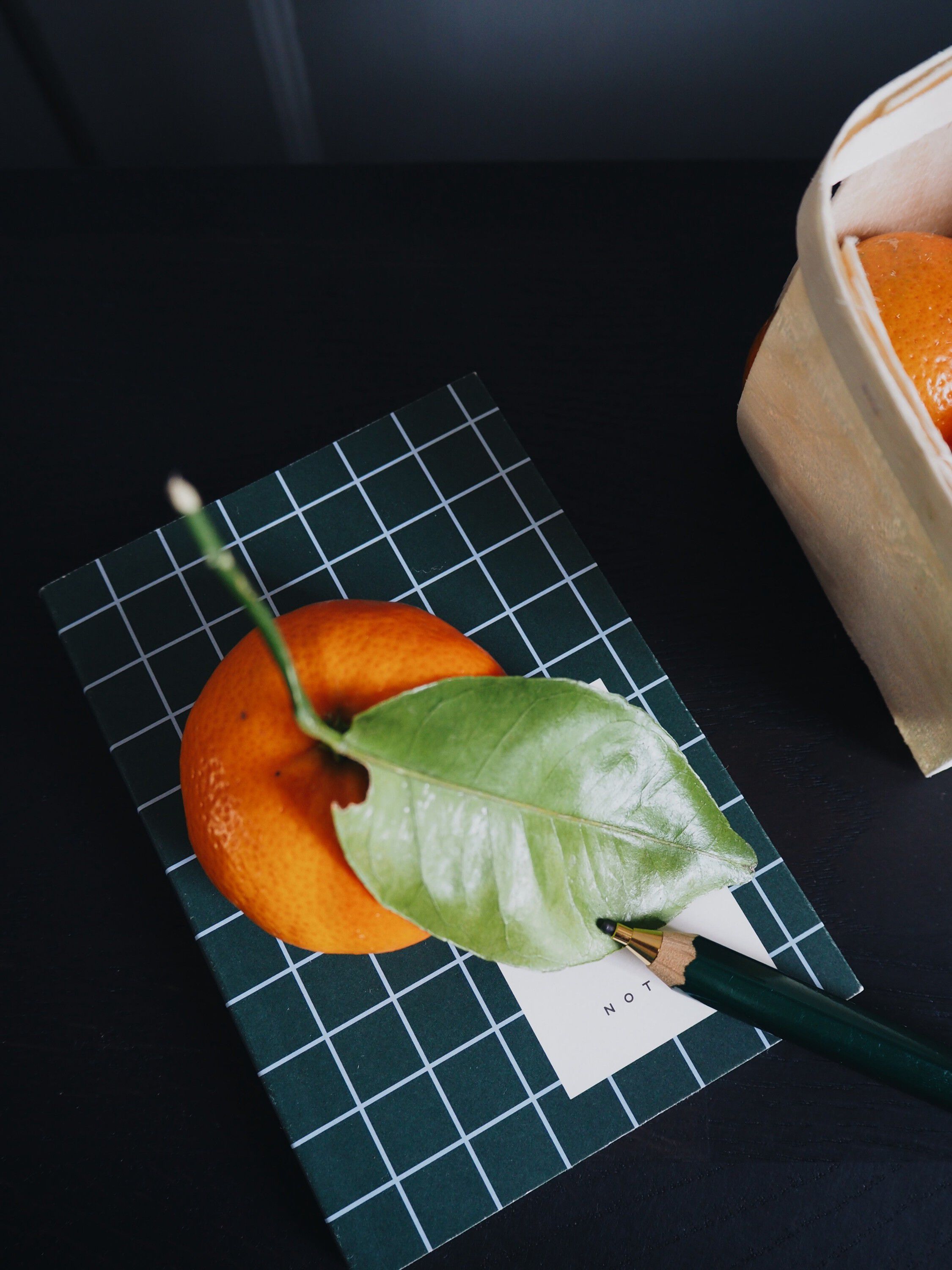 UMA notebook, flat lay binding