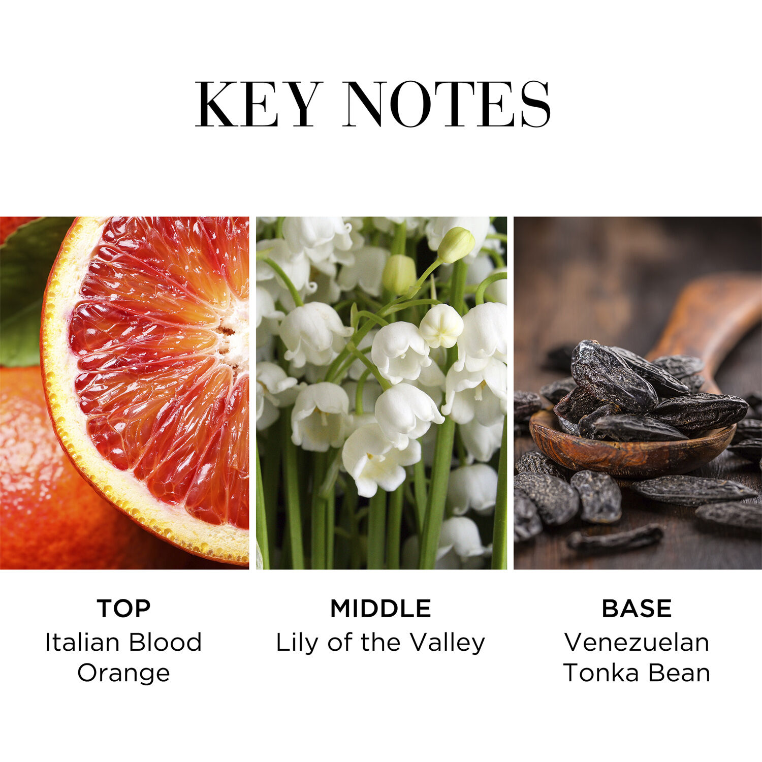 White Tea Eau de Toilette Fraiche