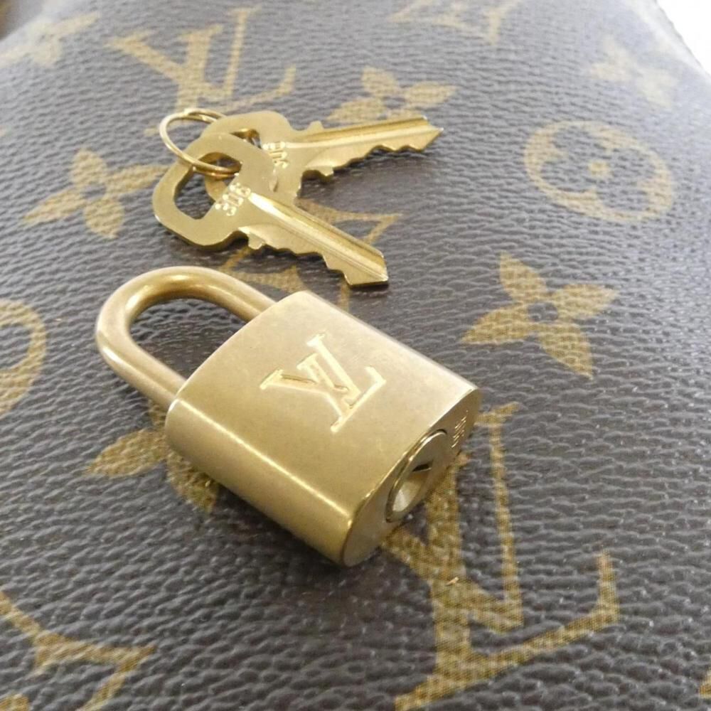 Louis Vuitton Handbag