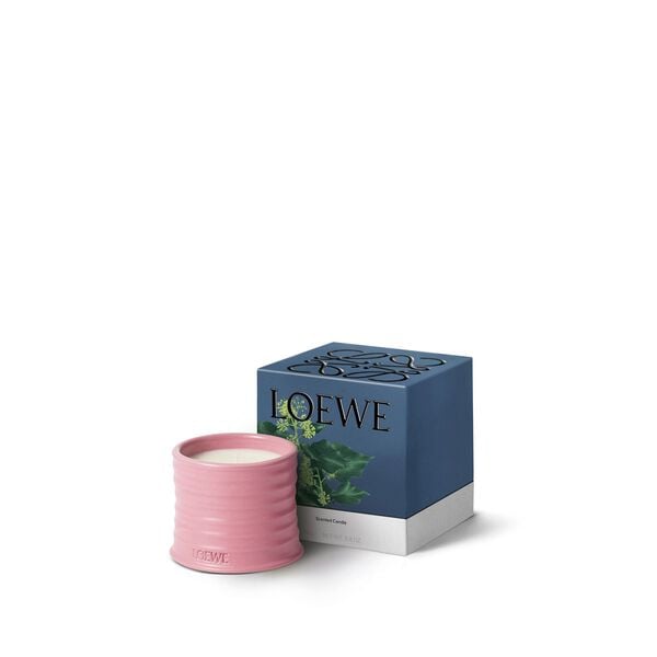 LOEWE Ivy Small Candle