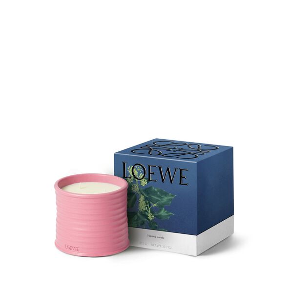 LOEWE Ivy Medium Candle