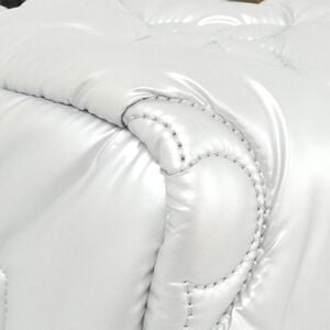 Louis Vuitton Speedy