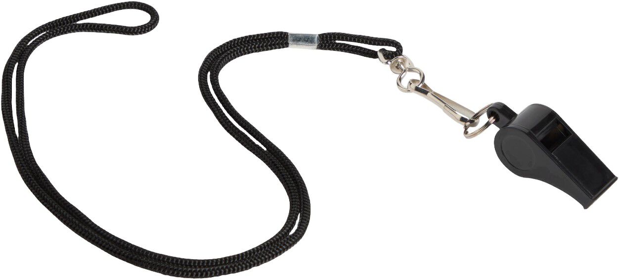 Whistle Fl&oslash;jte