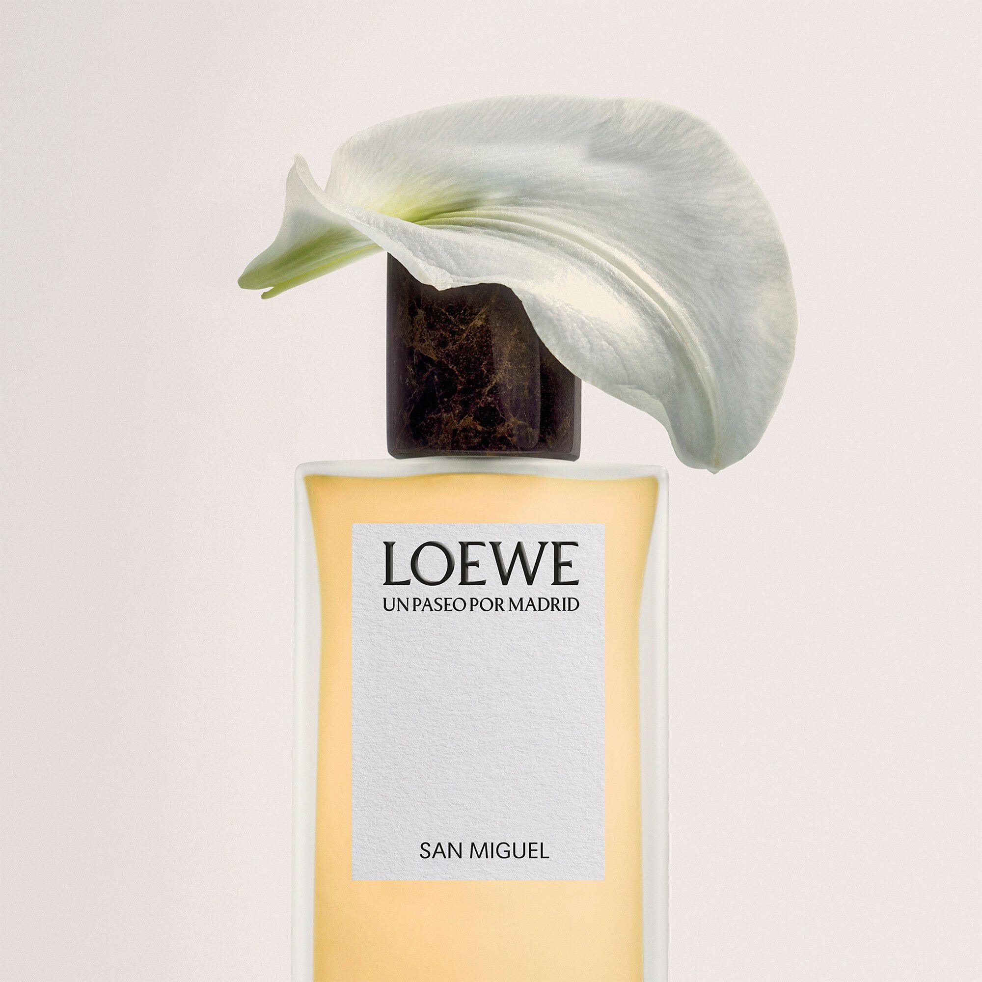 LOEWE Un Paseo por Madrid San Miguel Eau de Parfum 100 ml