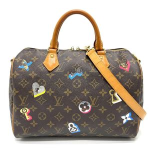 Louis Vuitton Handbag