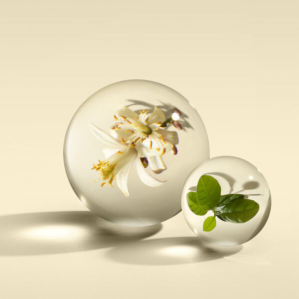 Molton Brown Orange & Bergamot Eau De Parfum 100 ml