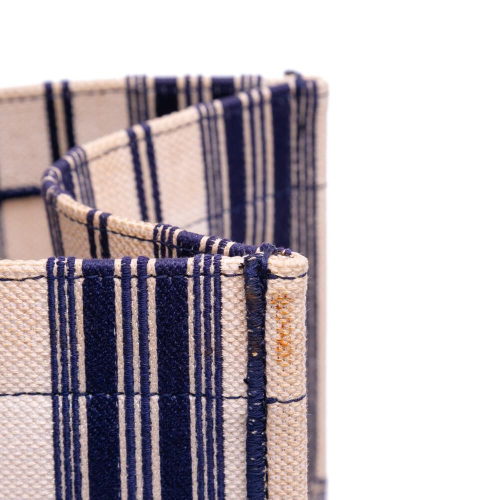 Dior Book Tote