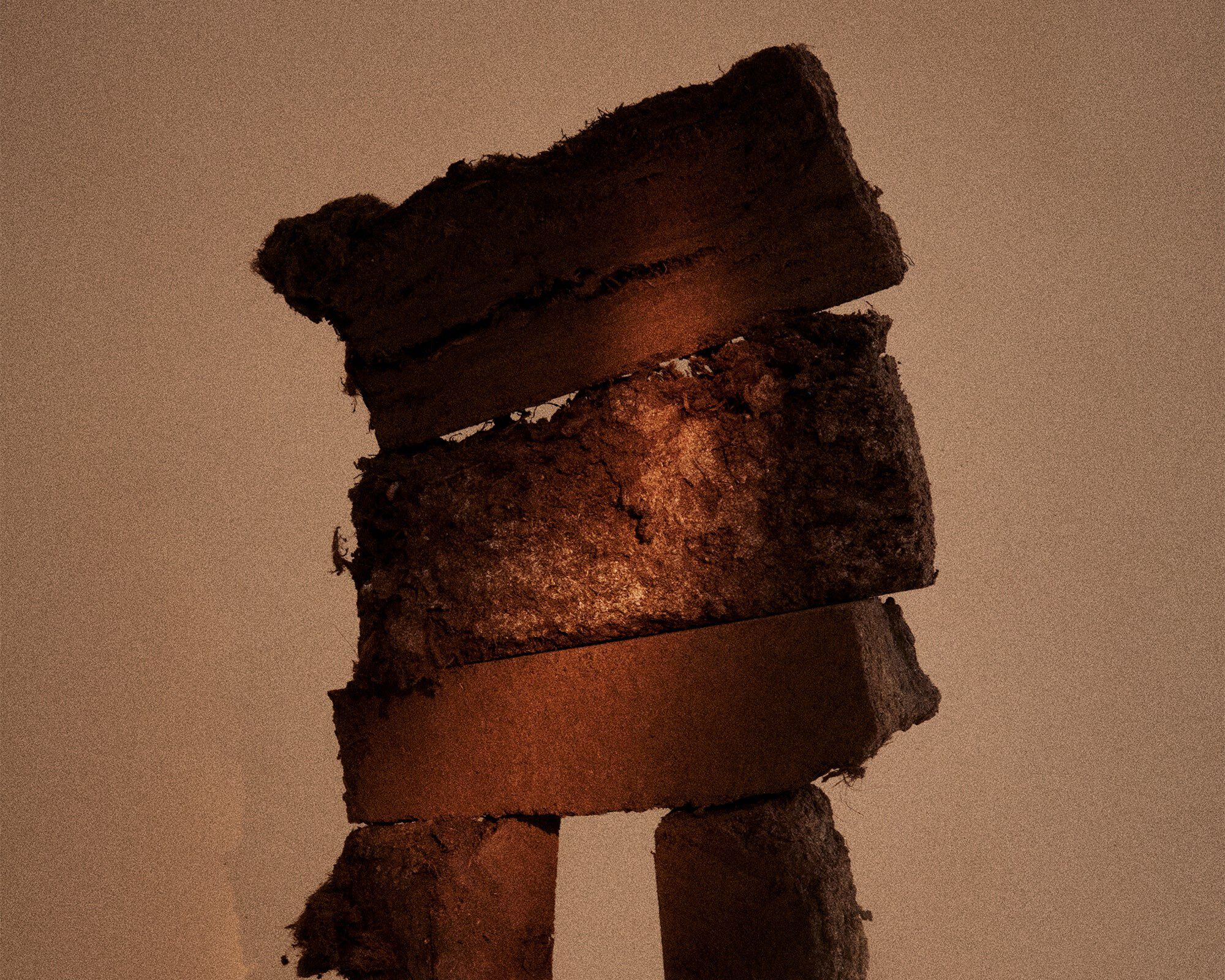 Perfume Oil | Deep Forest | 10 mL