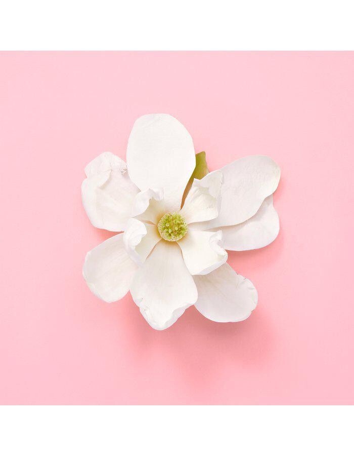 Gucci Flora Gorgeous Jasmine Eau de Parfum