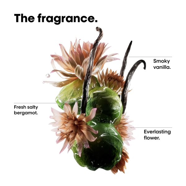 Absolut Repair Molecular Bi-phase Mini