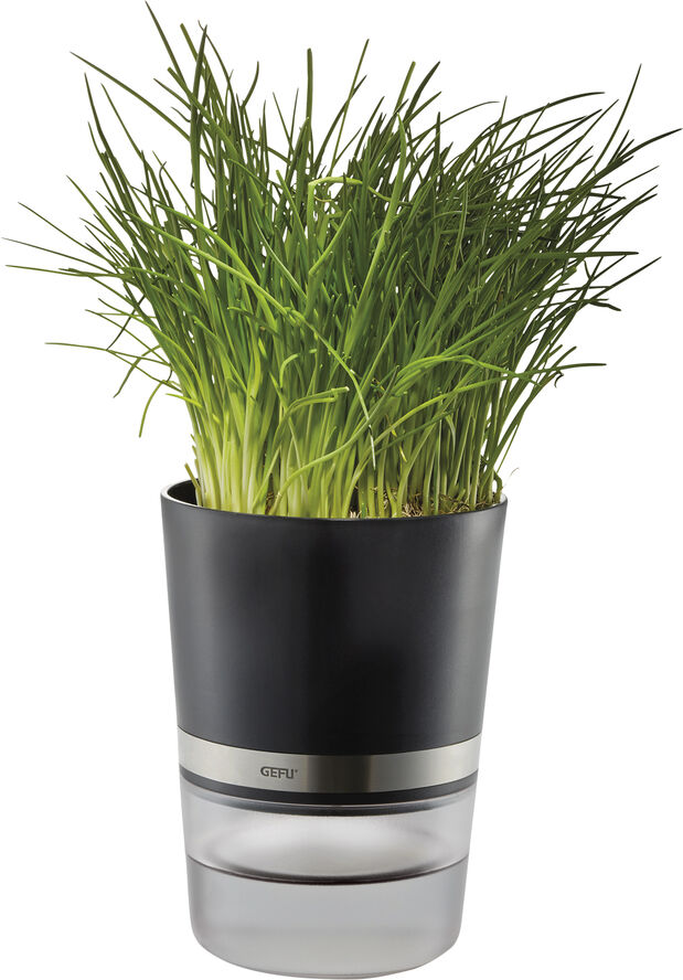 Krydderurtepotte, BOTANICO