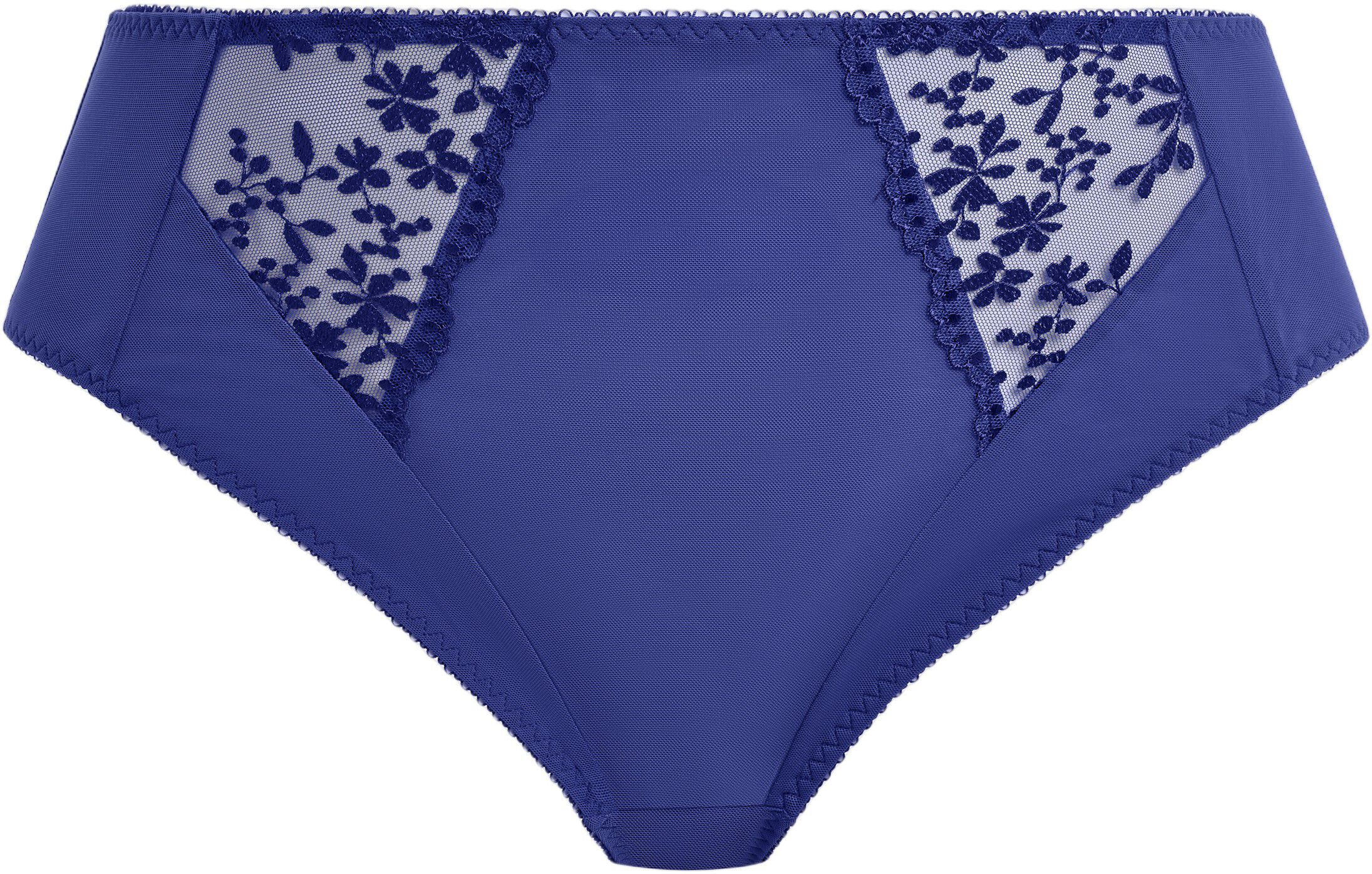 ZARLA HIGH LEG BRIEF