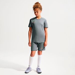 Academy Dri-Fit Tr&aelig;nings T-shirt