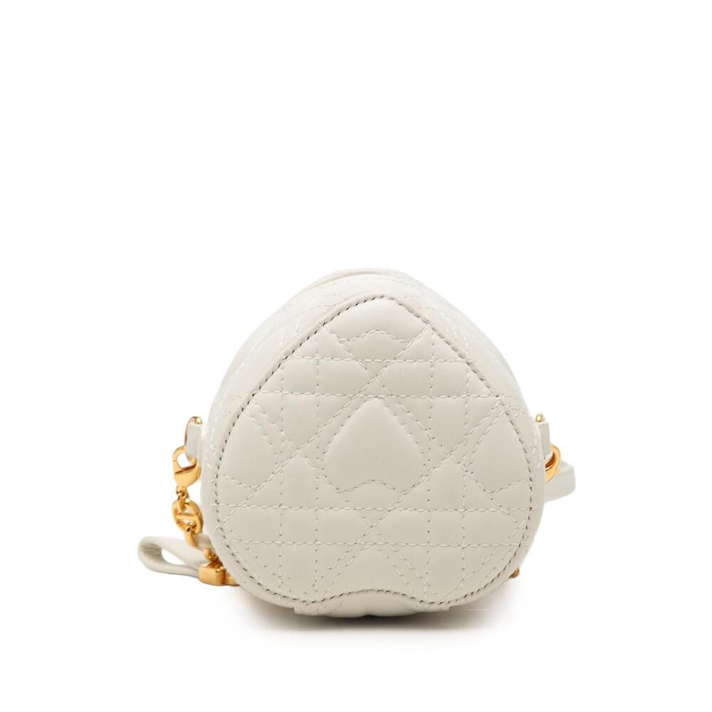 Dior Shoulder Bag