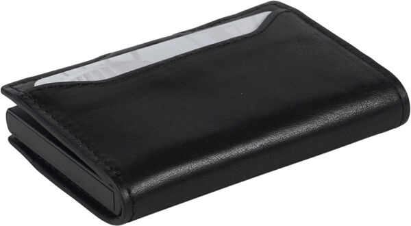 Furbo Cardholder for Air Tag