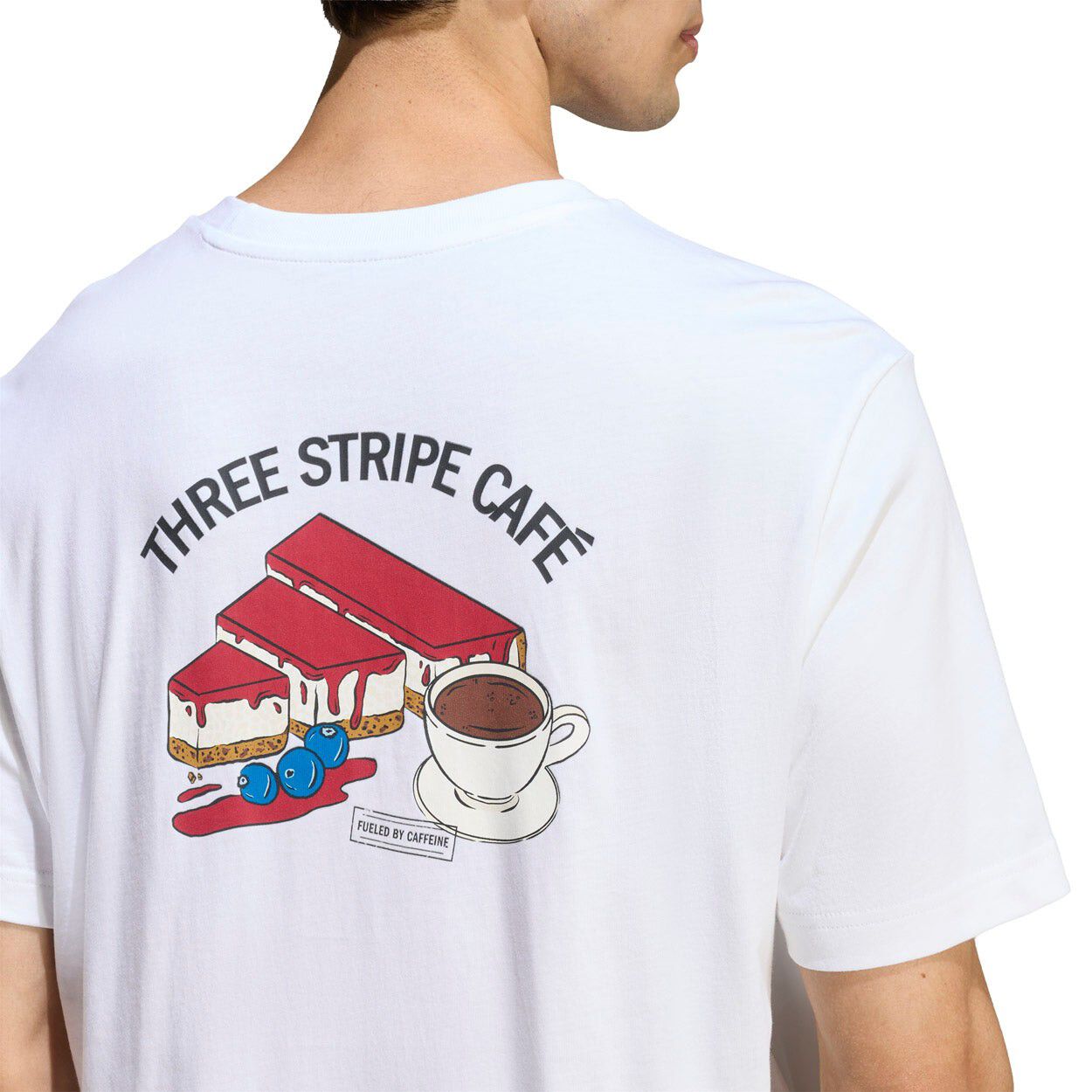 M CHEESECAKE T