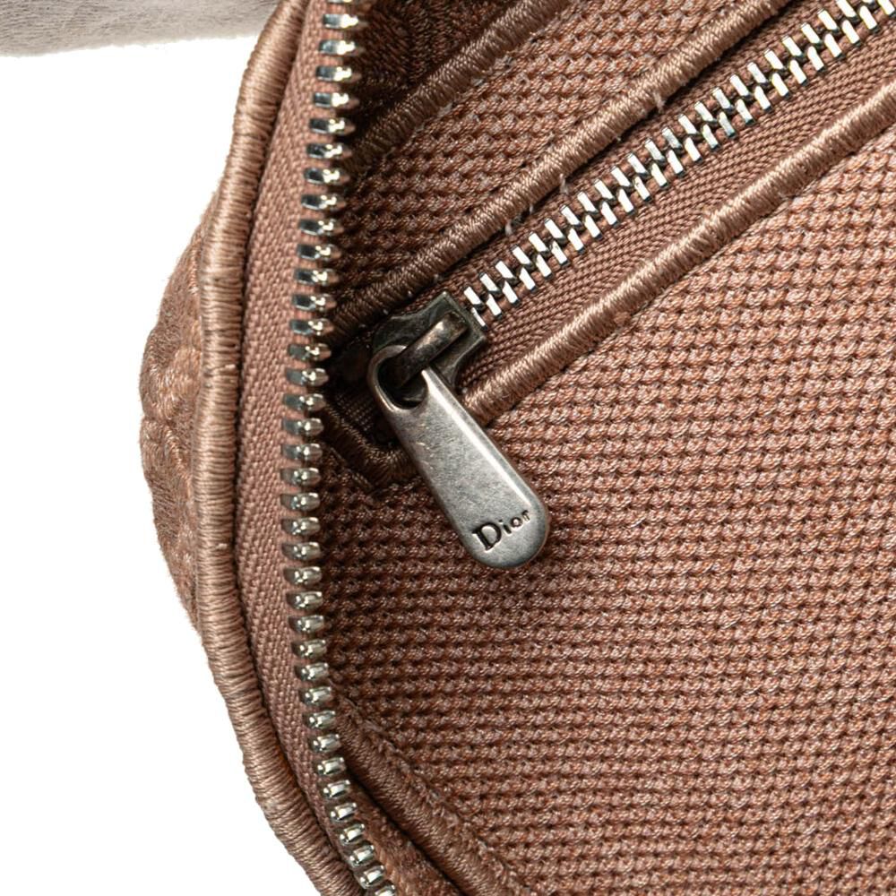 Dior Vanity Bag