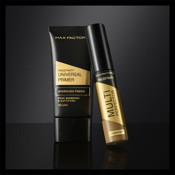 MAX FACTOR Facefinity Multi-Perfector Concealer