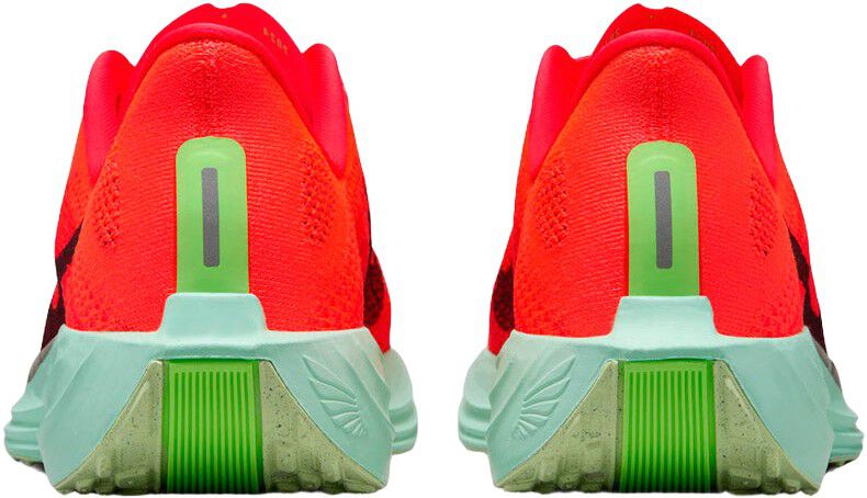 Pegasus Plus L&oslash;besko