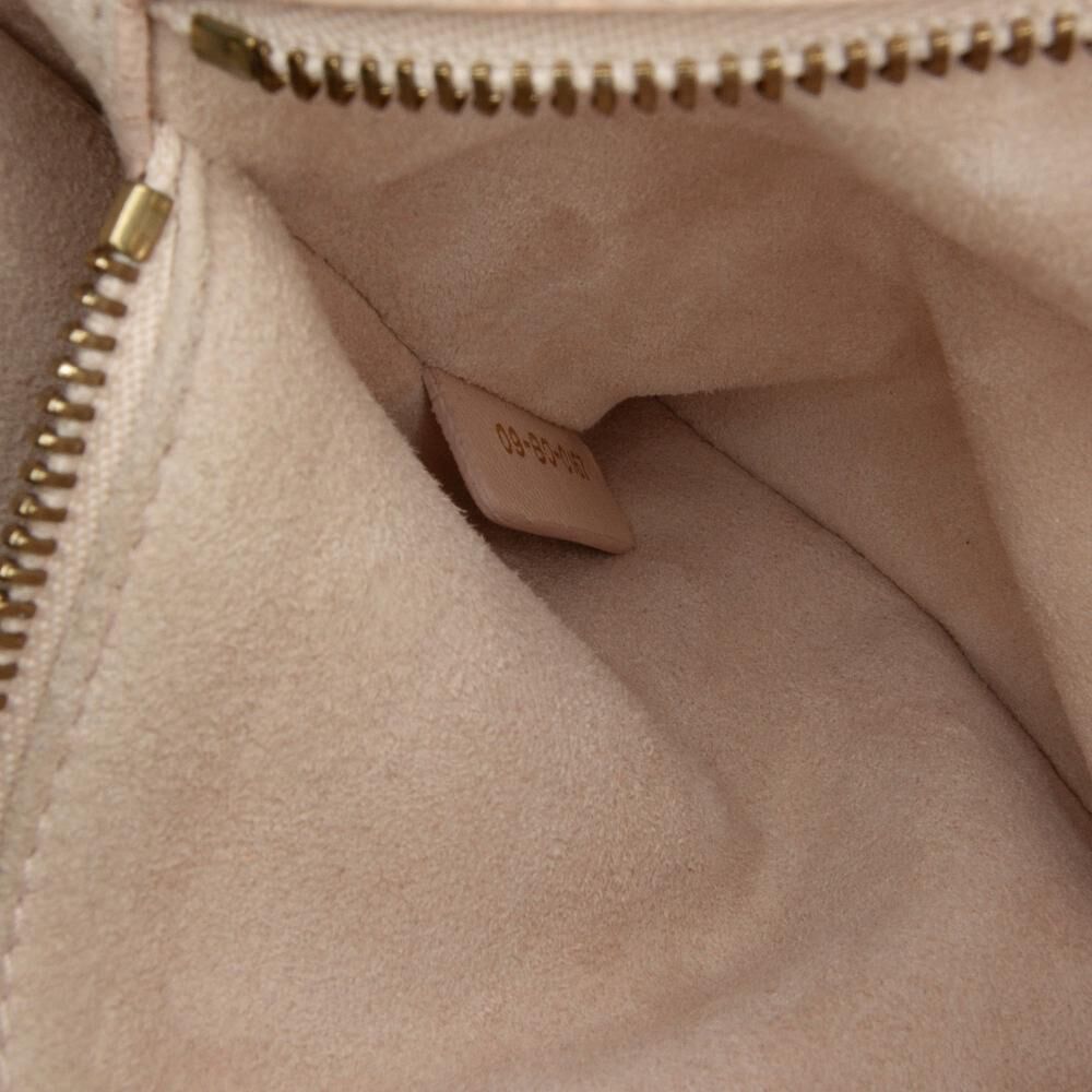 Dior Crossbody Bag
