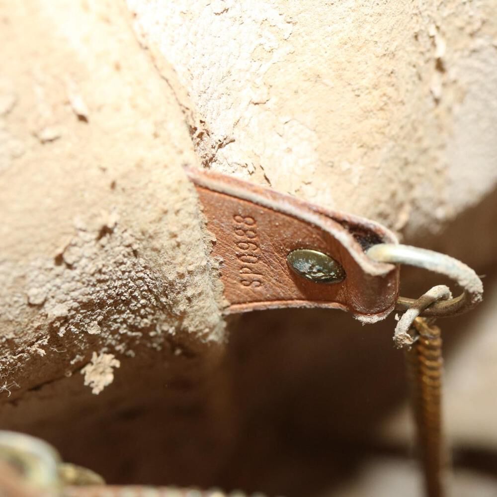 Louis Vuitton Shoulder Bags