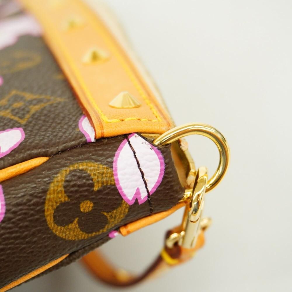 Louis Vuitton Pochette Accessoires