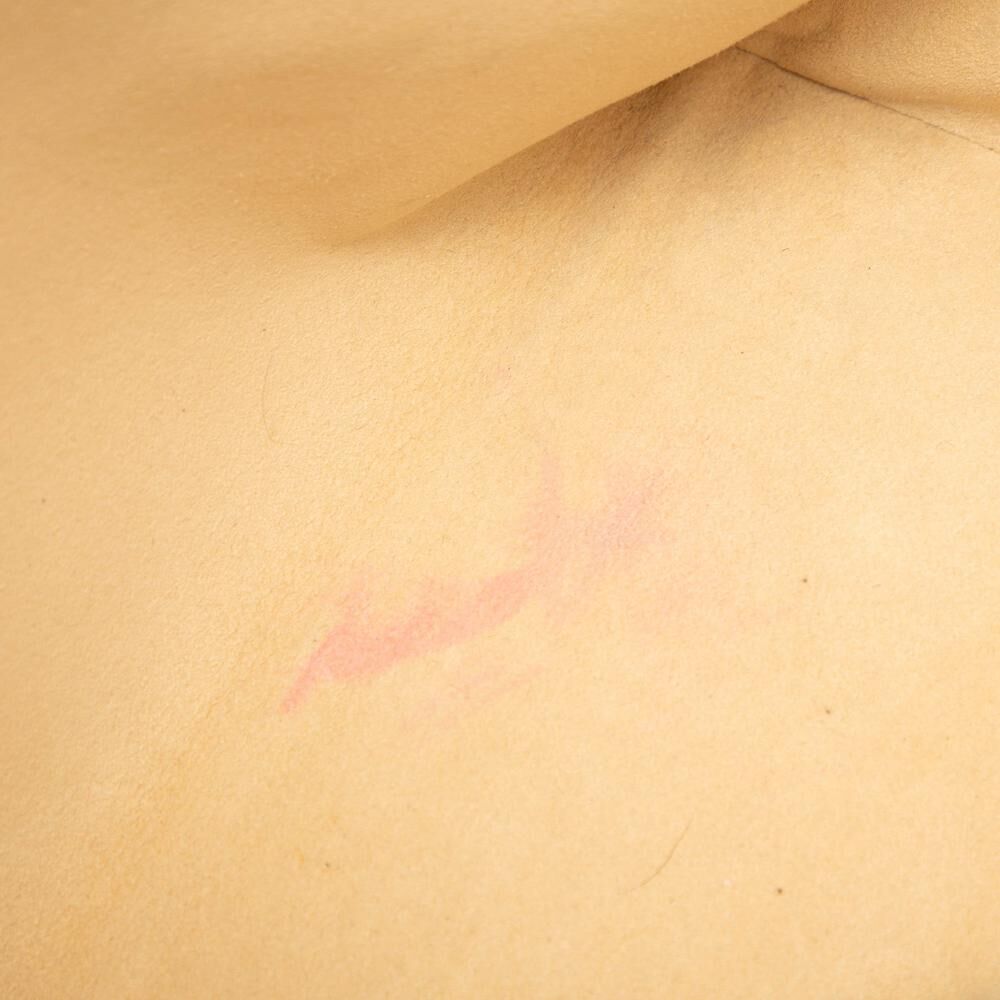 Louis Vuitton Saleya